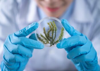 AGC Biologics Layoffs